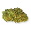 TROPICAL-HAZE -mybudshop