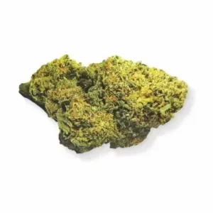 amnesia - mybudshop