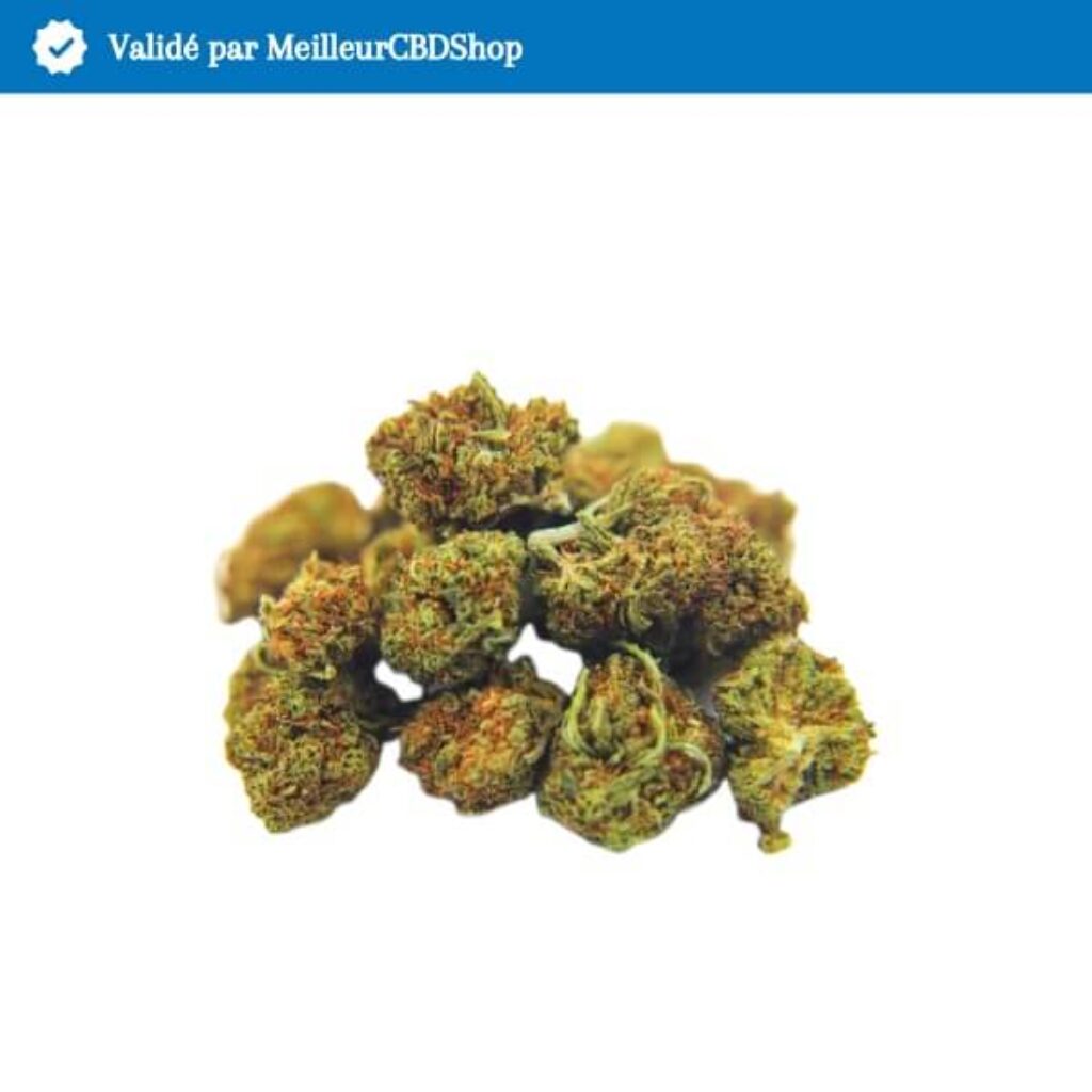 CBD The Swiss Hemp