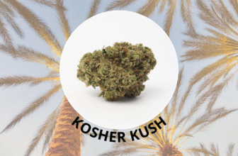 kosher kush