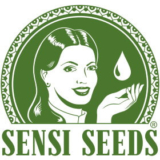 Sensi Seeds Avis