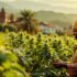 THV-N10 : mon avis avant d’acheter ce nouveau cannabinoïde