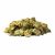 Small Buds Strawberry – Weedy